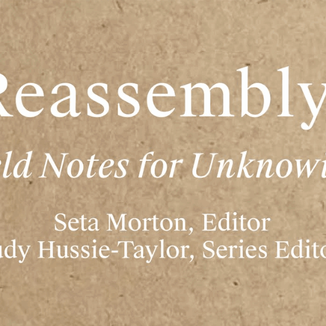 REASSEMBLY: FIELD NOTES FOR UNKNOWING BOOK LAUNCH 1