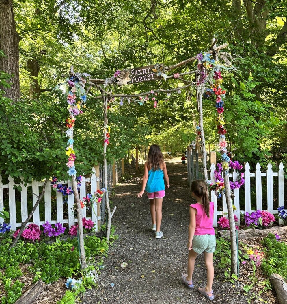 Fairy Festival 2