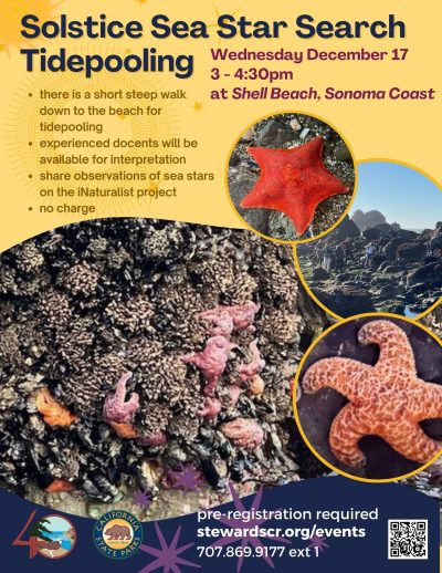 Winter Solstice Sea Star Search 2025 1