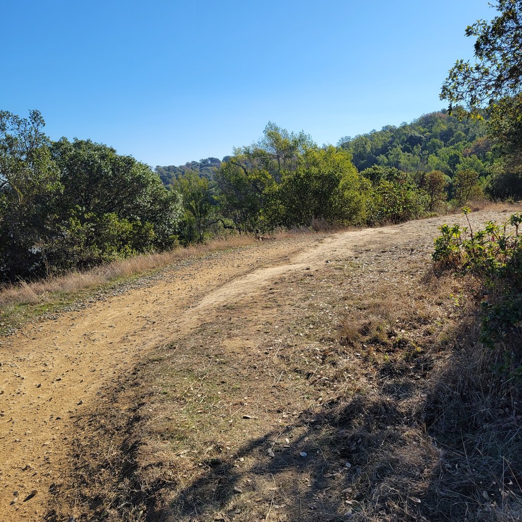Peacock Gap Trl 3
