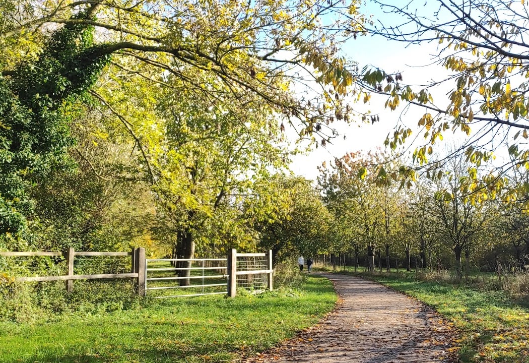 Chemin de randonnée de la Marque 1