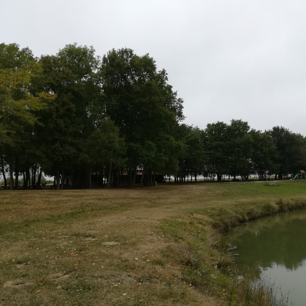 Étang des Tuileries 3