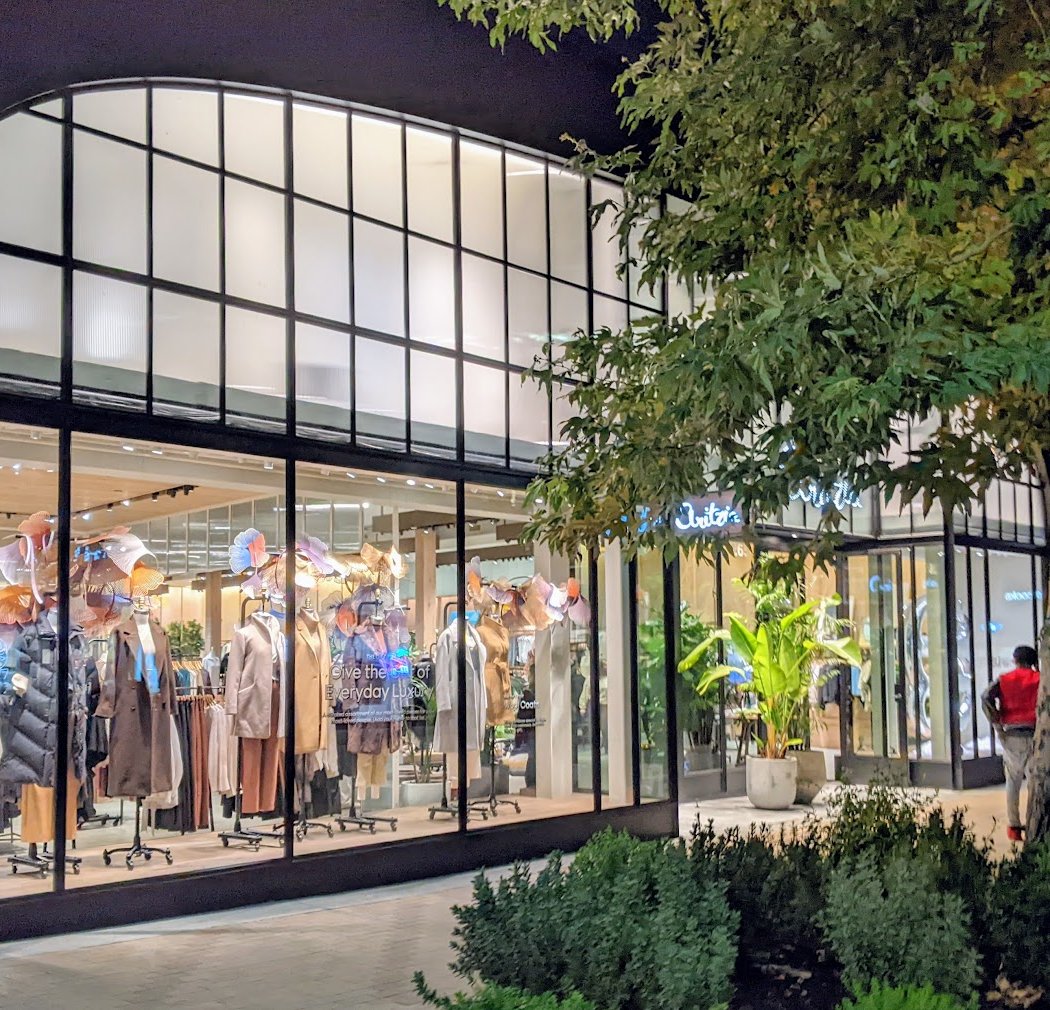 Aritzia 2
