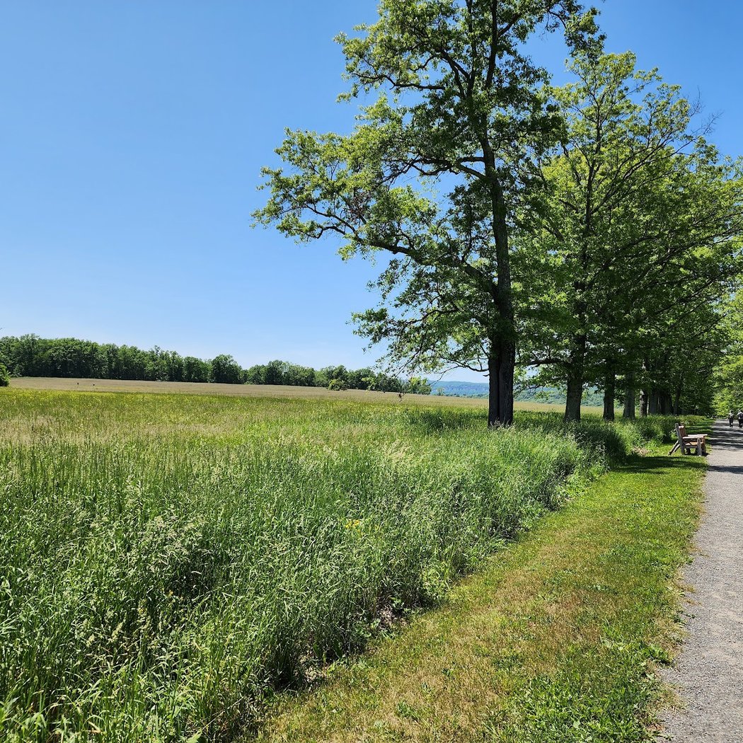 Mohonk Preserve Testimonial Gateway 2