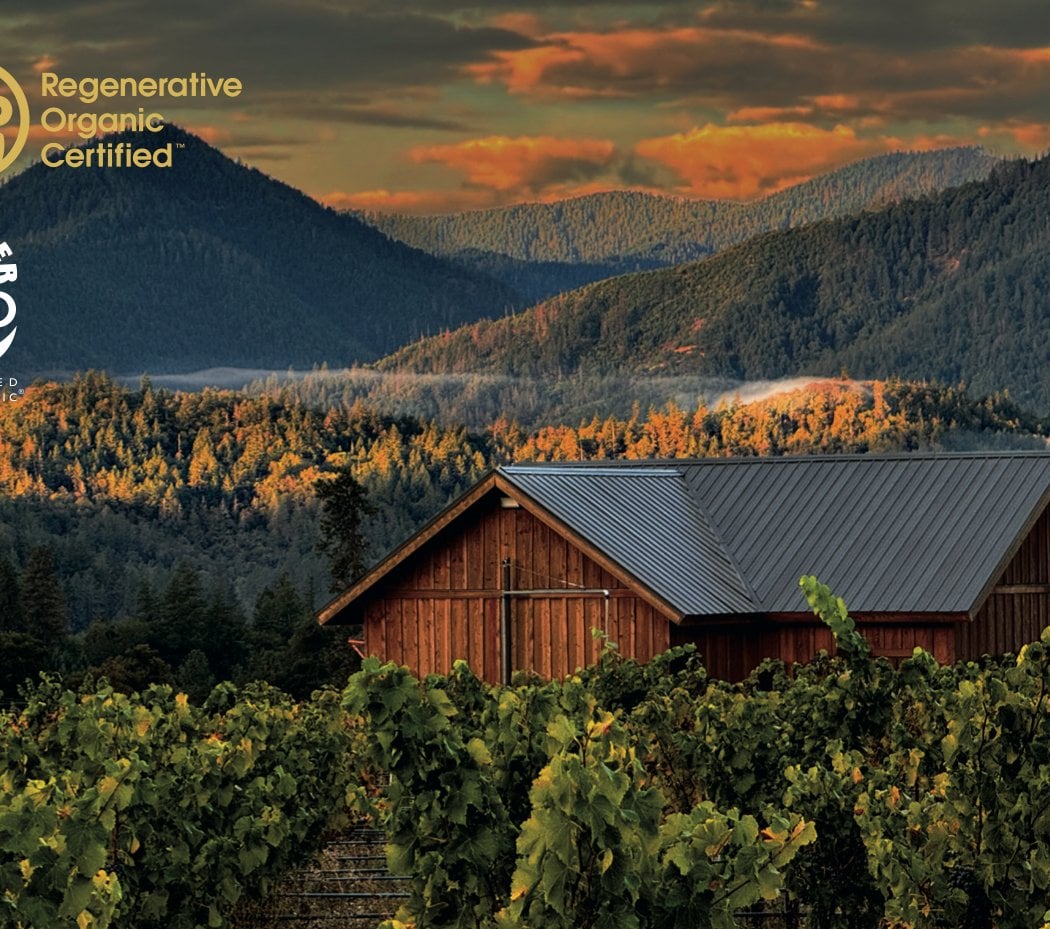 Troon Vineyard & Farm 1