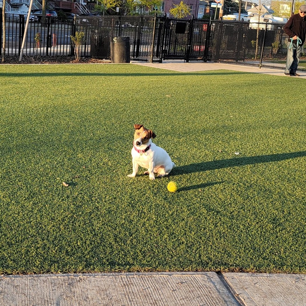 Manhattan Beach Dog Run 1