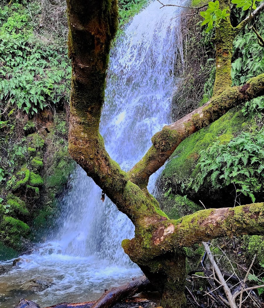 Pacheco Valley Preserve 2