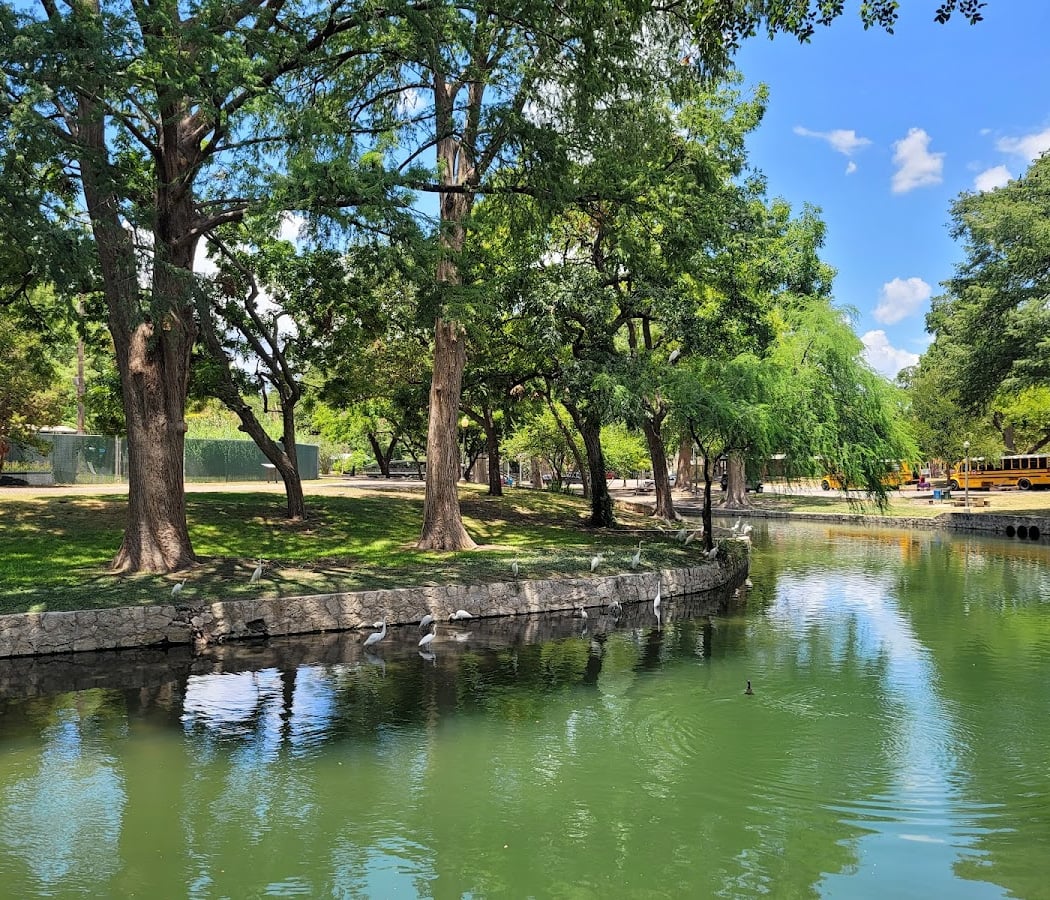Brackenridge Park 2