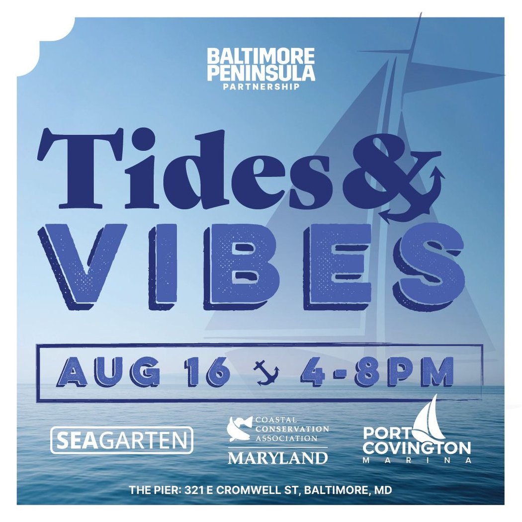 Tides & Vibes 1