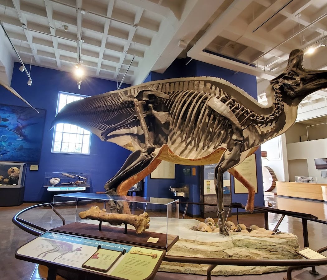 San Diego Natural History Museum 3
