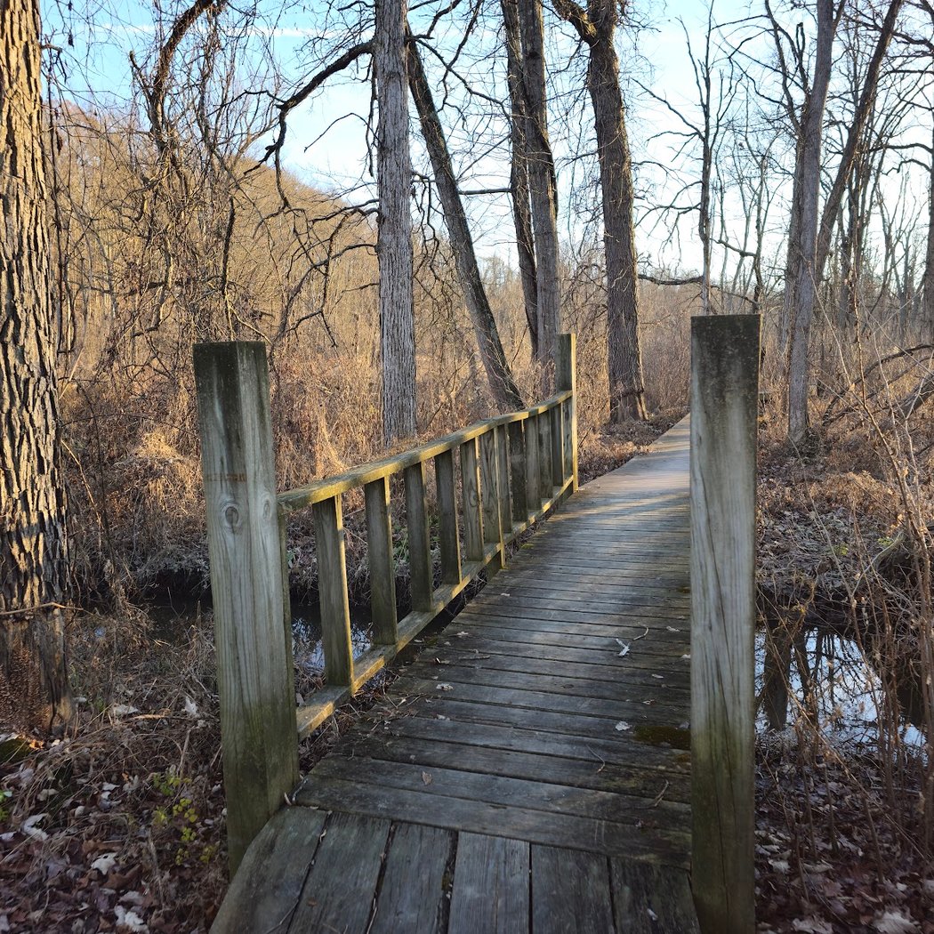 Lewis A. Swyer Preserve 2