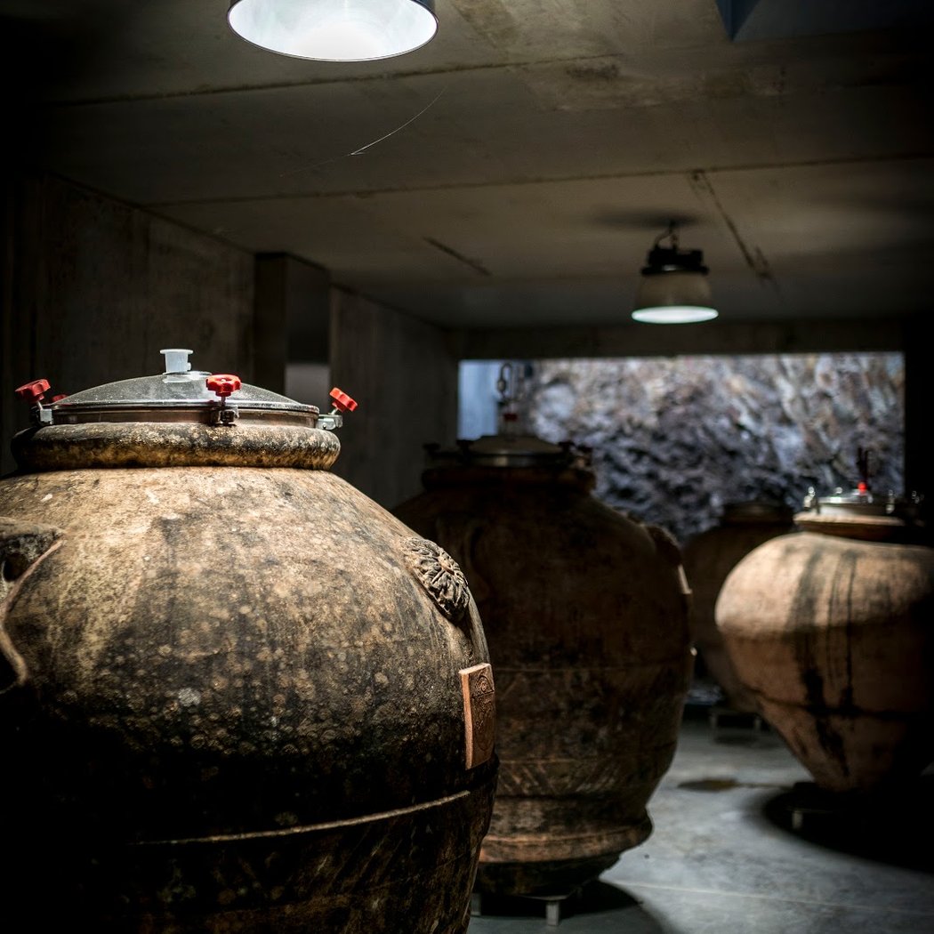 Domaine de l'Ecu 2