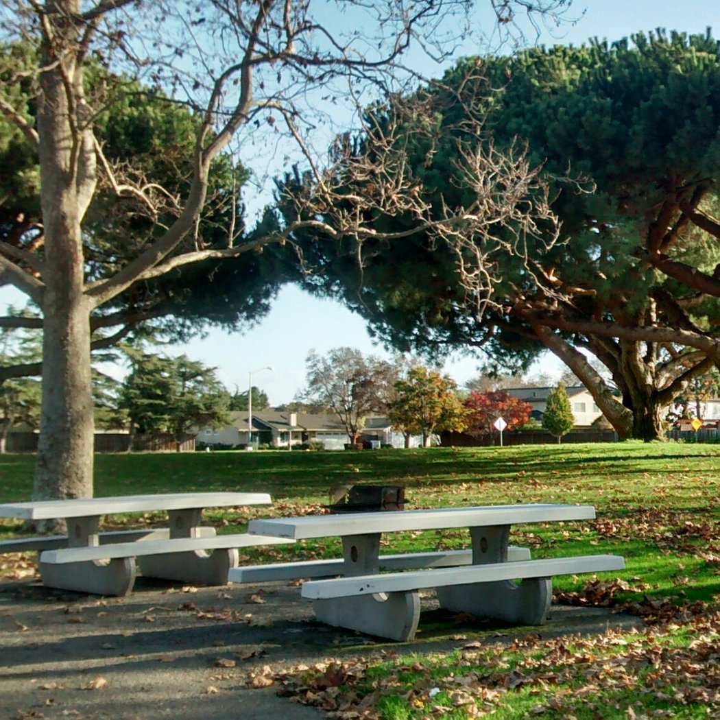 Bridgepointe Park 1