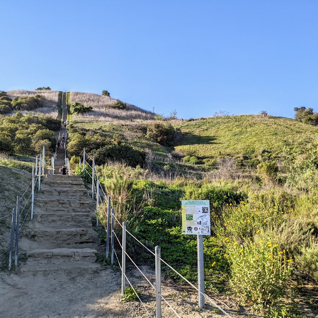 Cityscape to Campfire Stroll: Landscapes & Legacy 4