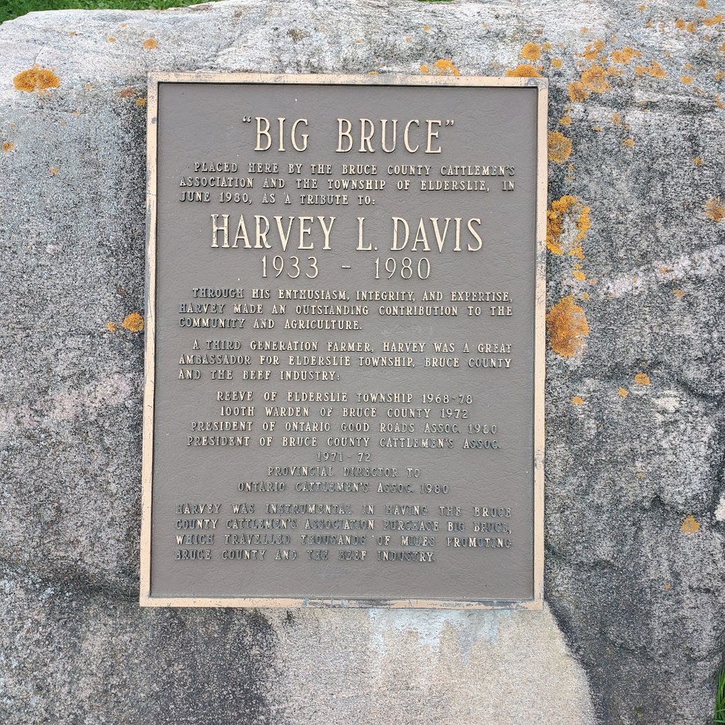 Big Bruce 2