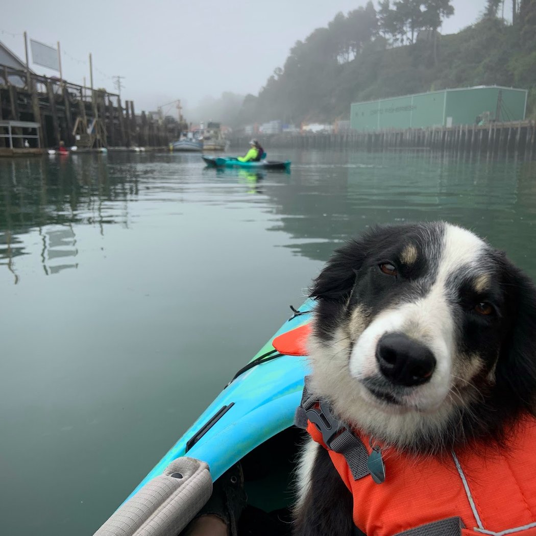 Kayak Noyo 4