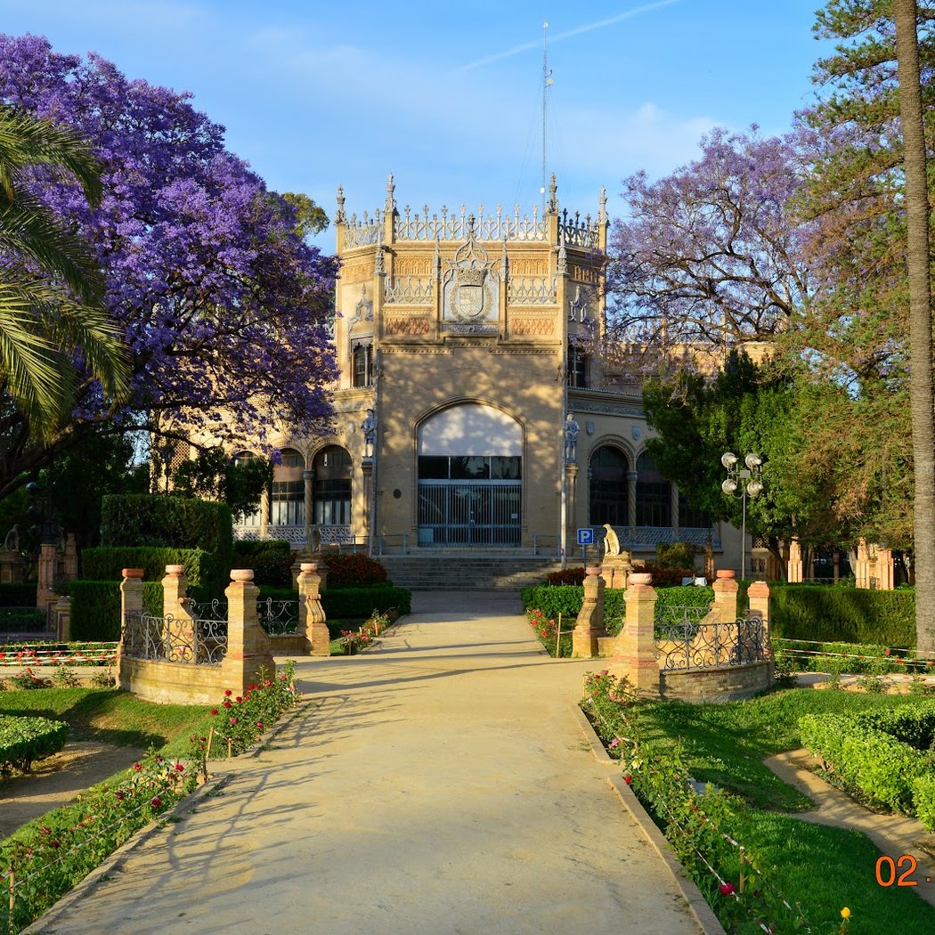 Pabellón Real 3