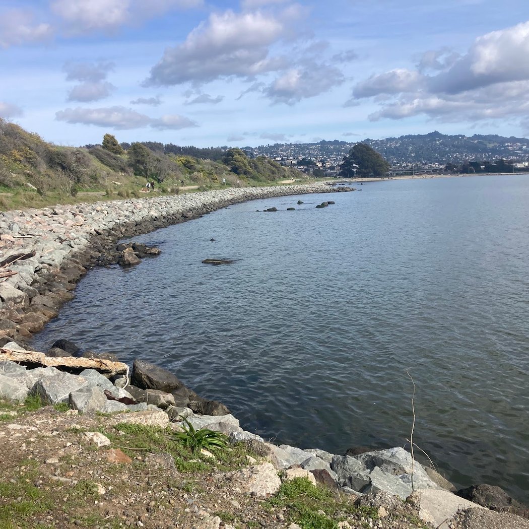McLaughlin Eastshore State Park State Seashore 2