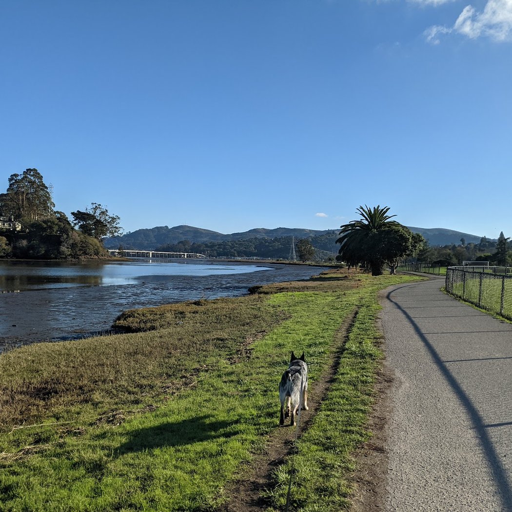 Dog Park | Bayfront Park Mill Valley 3
