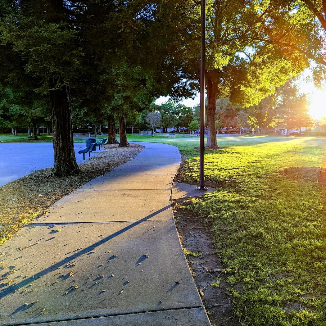 Amaral Park 3