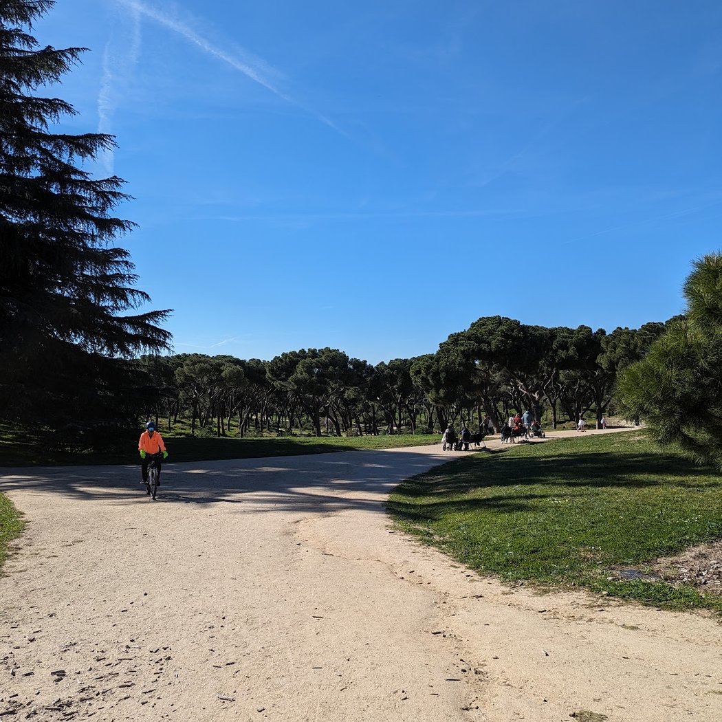 Montagne de Reims Natural Regional Park 1