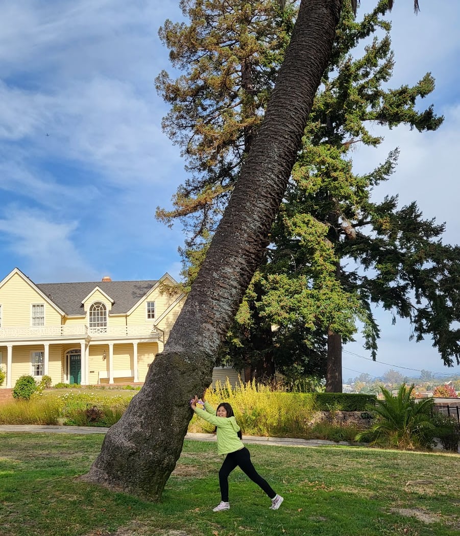 Penry Park 3