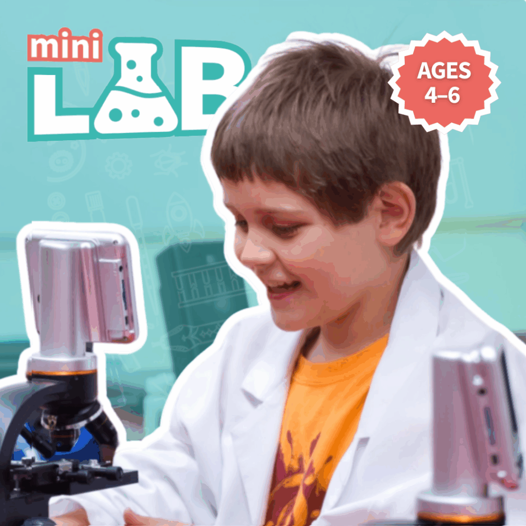 Mini Lab 1