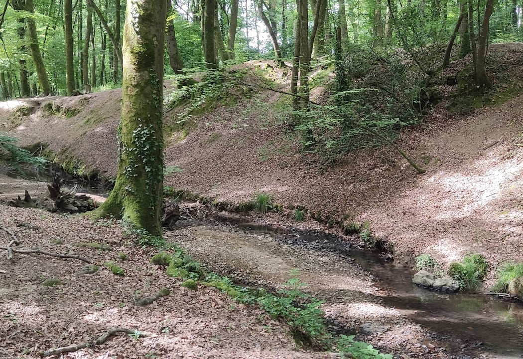 Fous La Montagne Woods 1