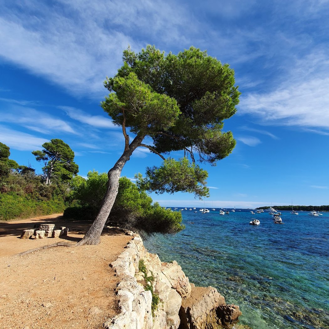 Île Sainte-Marguerite 1