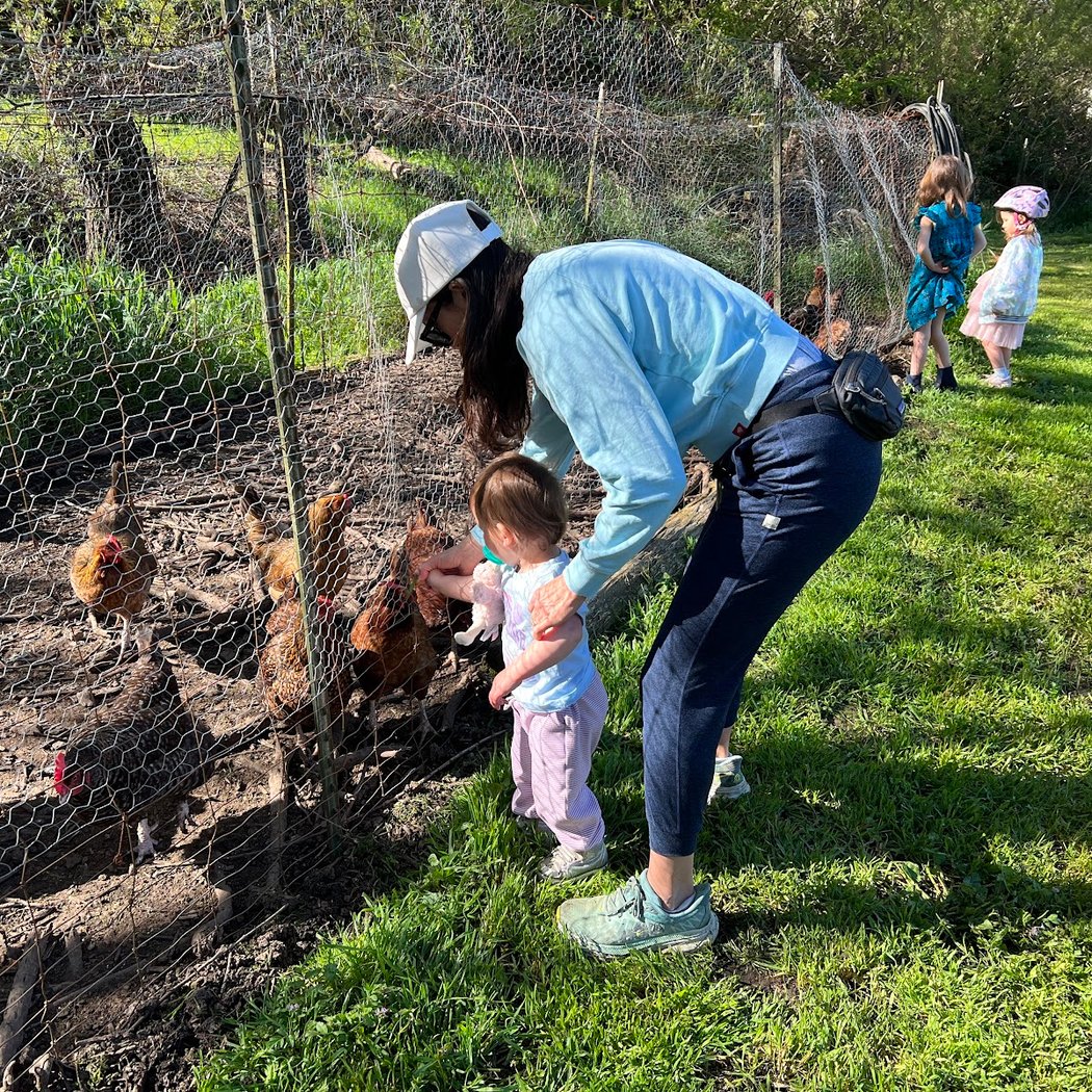 Draper Farms 3