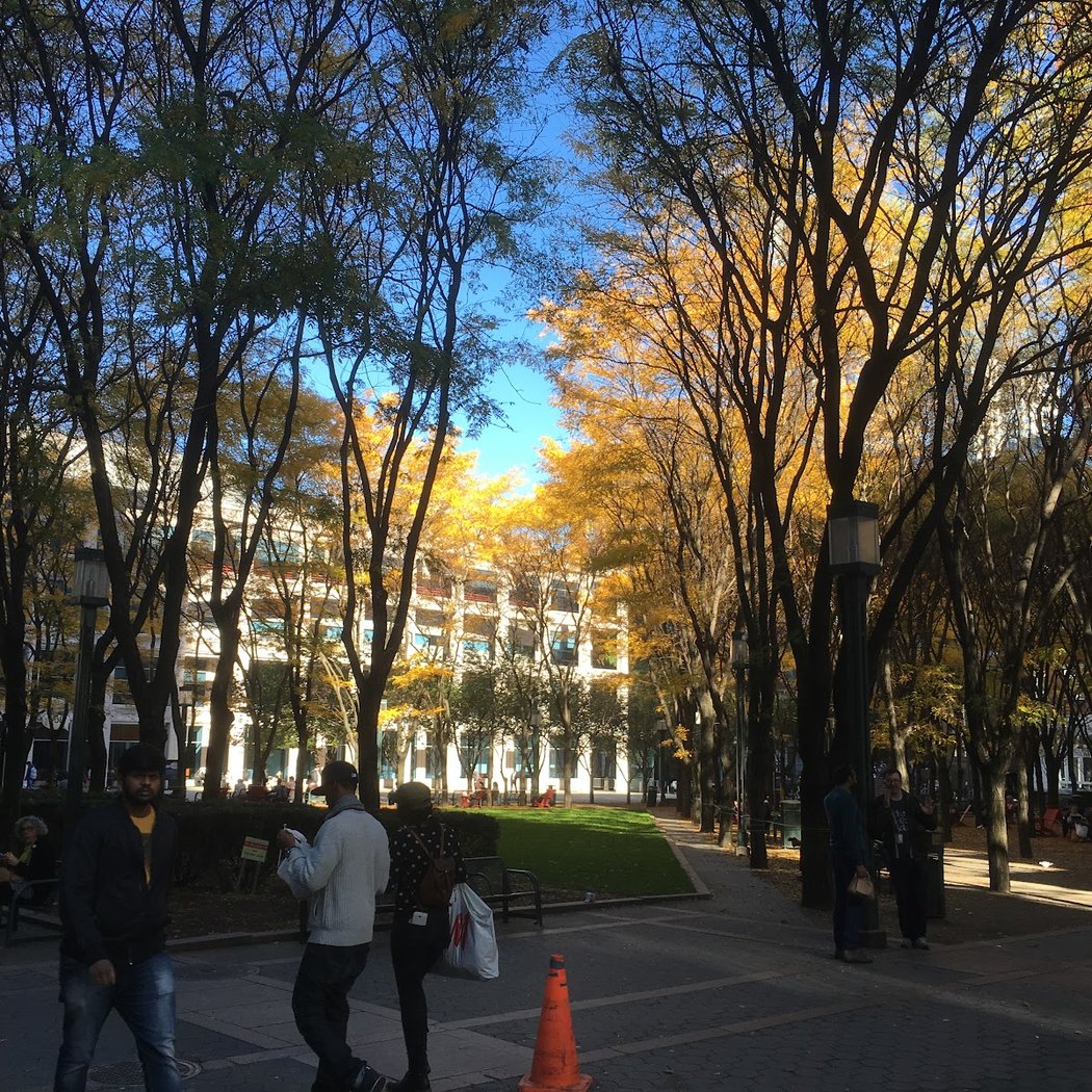 NYU Tandon STEM Summer Program 3