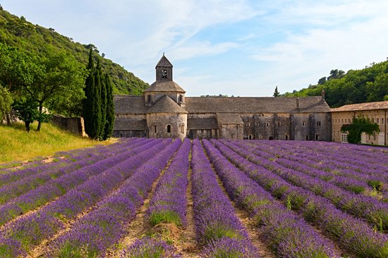 Abbaye Notre-Dame de Sénanque 2
