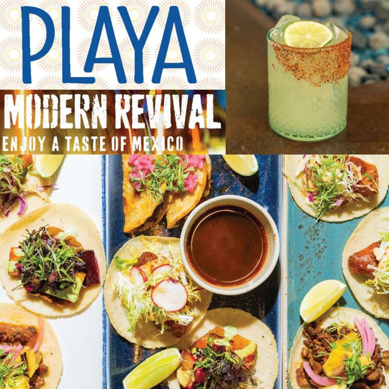 Playa Mill Valley 1