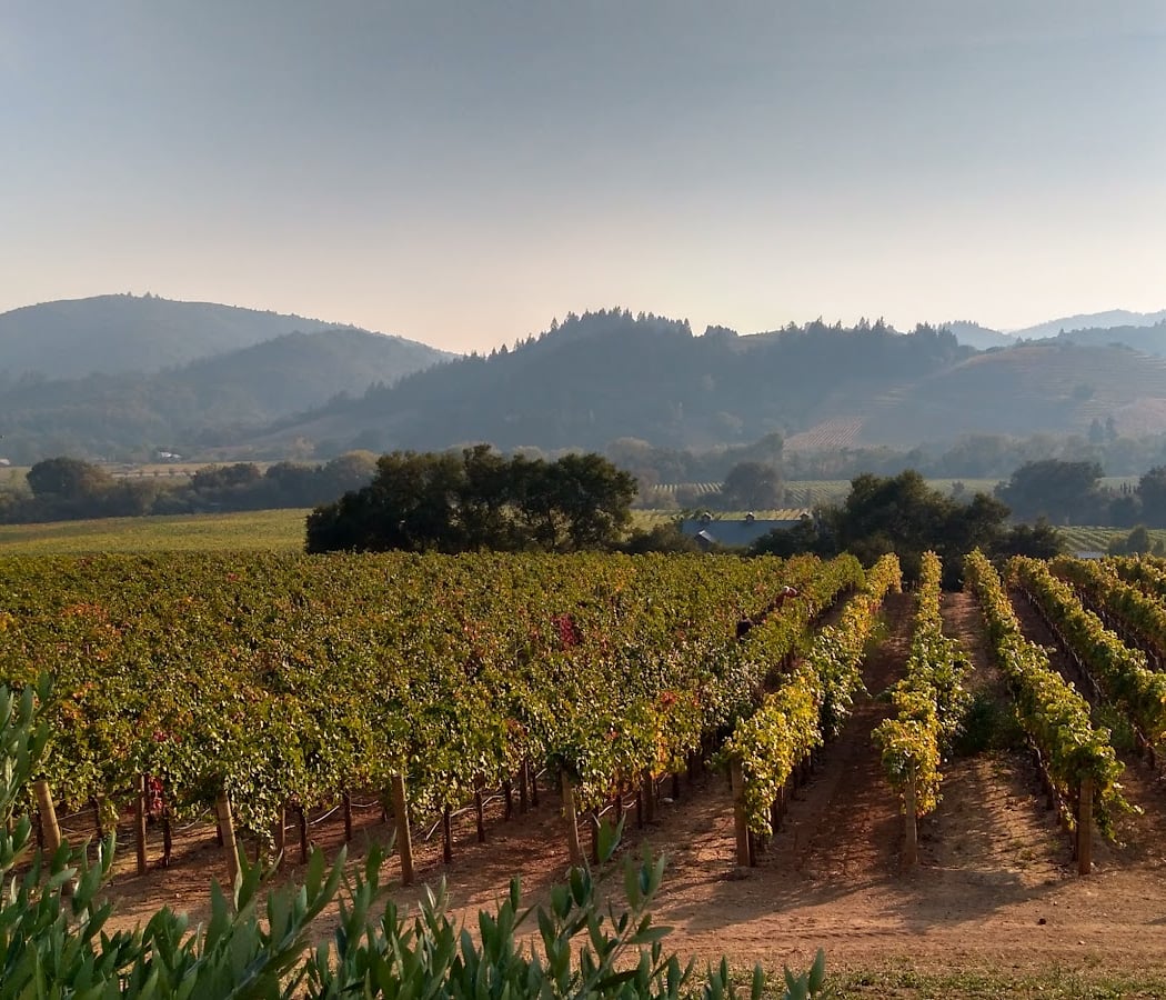 CAST Wines 3
