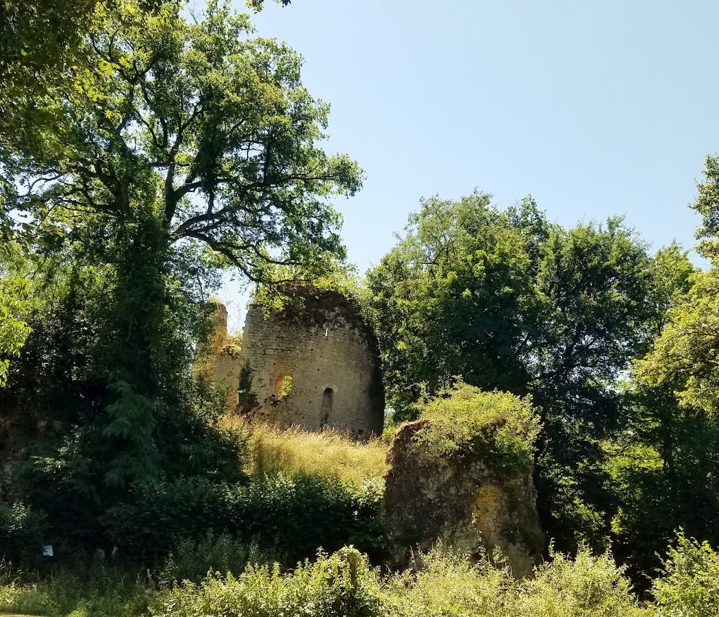 Ruines du Château de St-Verain 2