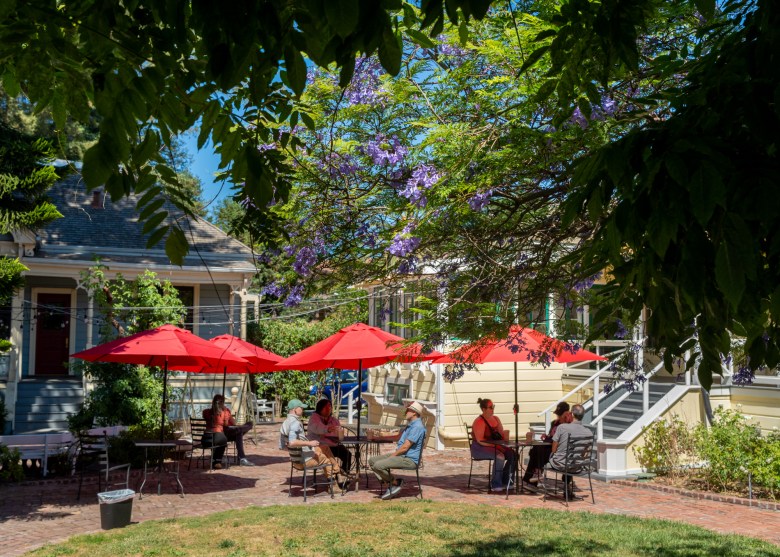 The Yard Coffee 3