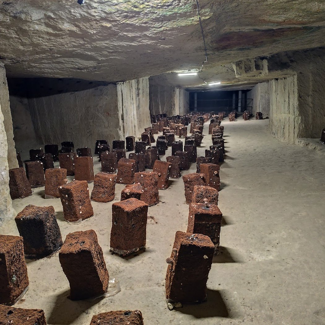 Cave des Roches 3