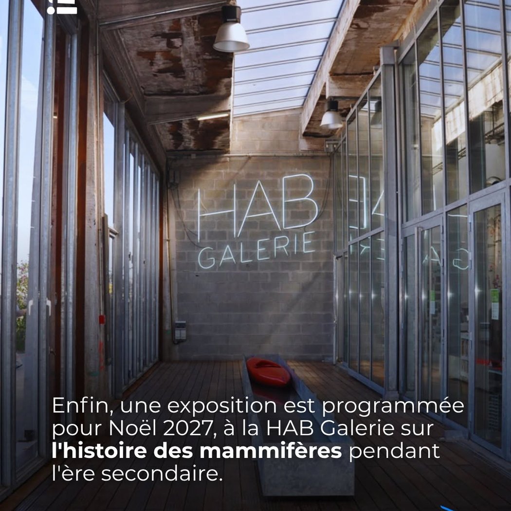 Exposition sur l'histoire des mammifères pendant l'ère secondaire 1