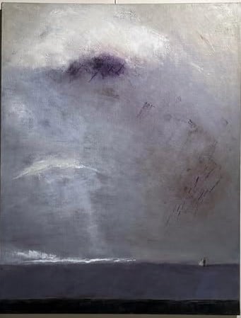 Exposition Hugo Villaspasa : Les oiseaux déguisés 2