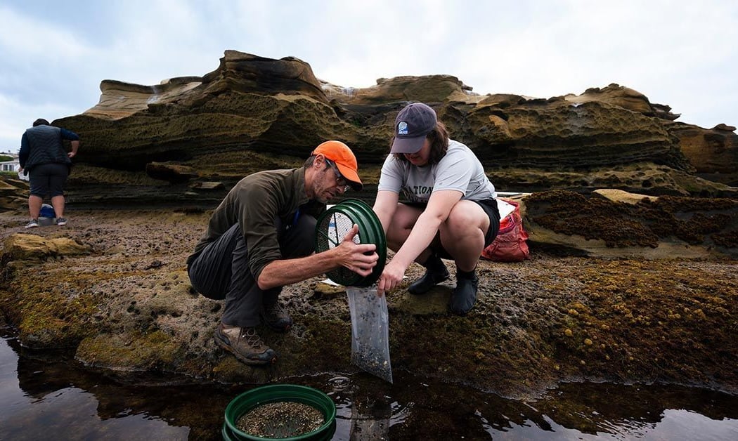 Summer Tidepool Bioblitz 4