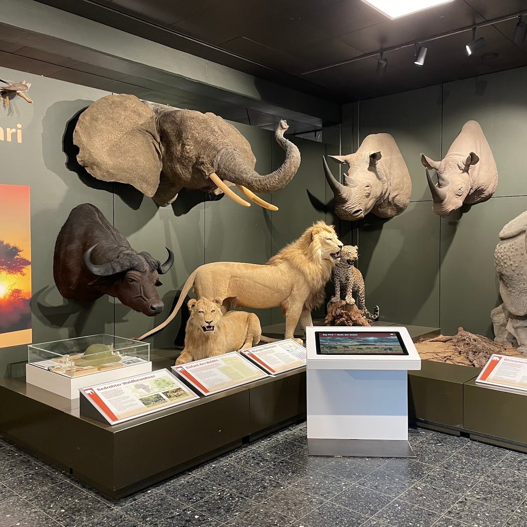 PLANET A*, Ausstellung für *Artenvielfalt 2