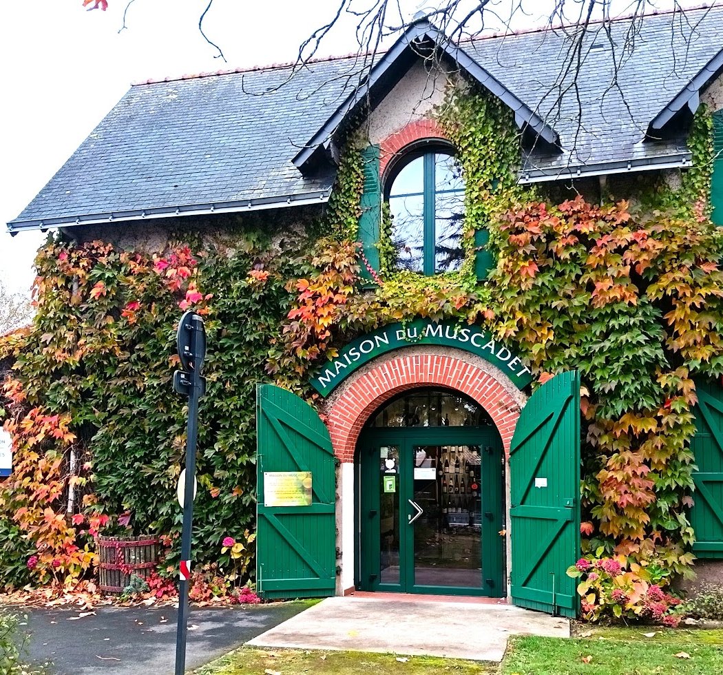 Maison du Muscadet Association de viticulteurs 4