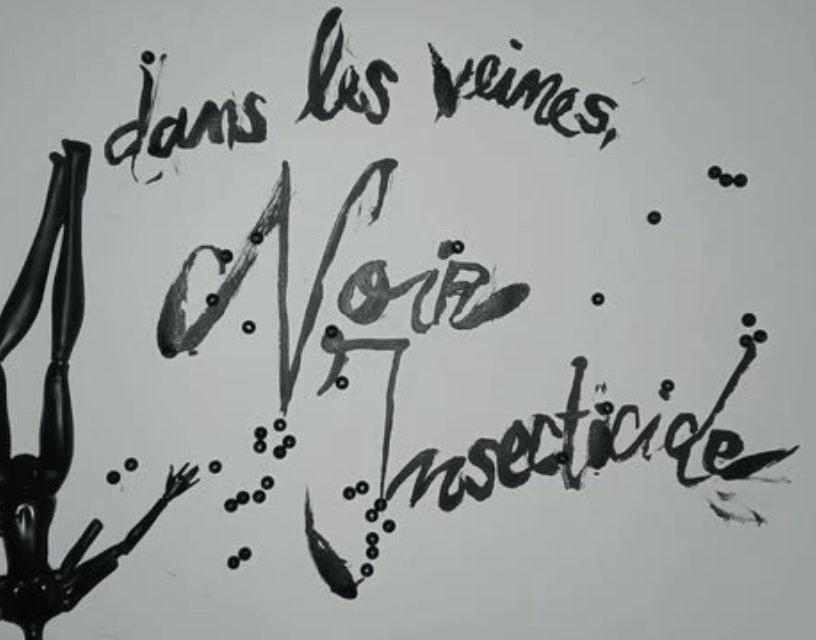 dans les veines, Noir Insecticide 1