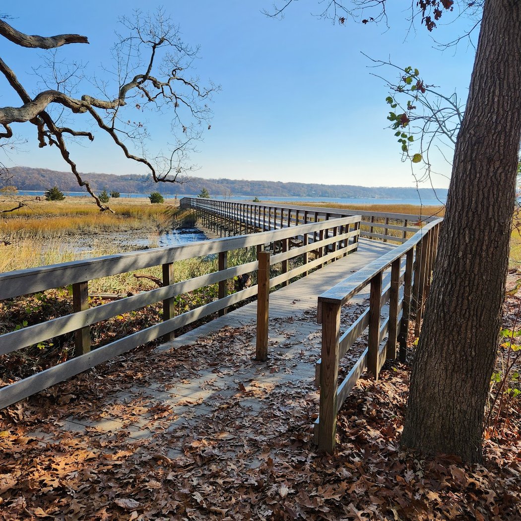 Nature Trail 1