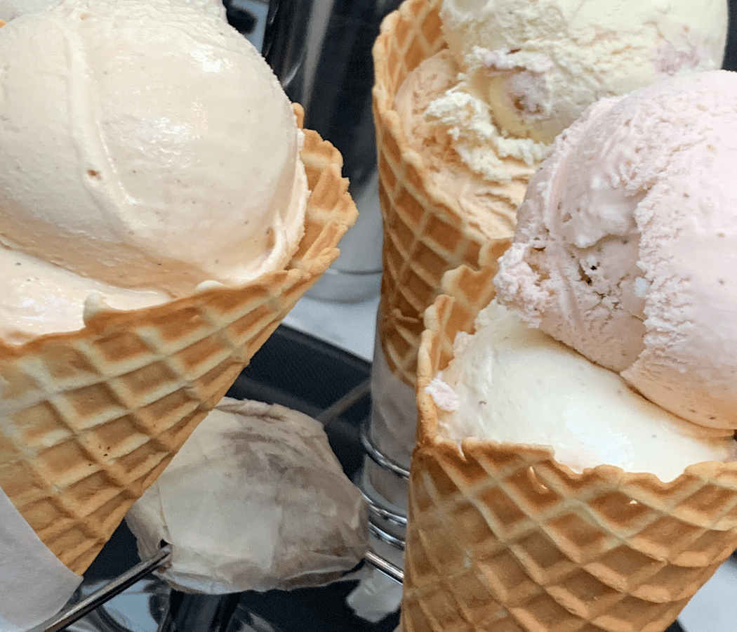 Angela's Organic Ice Cream 3