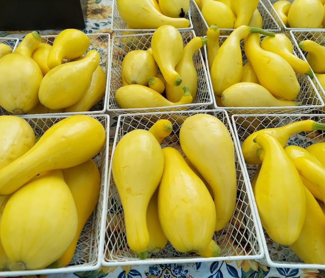 O Grows Farmers Market 1