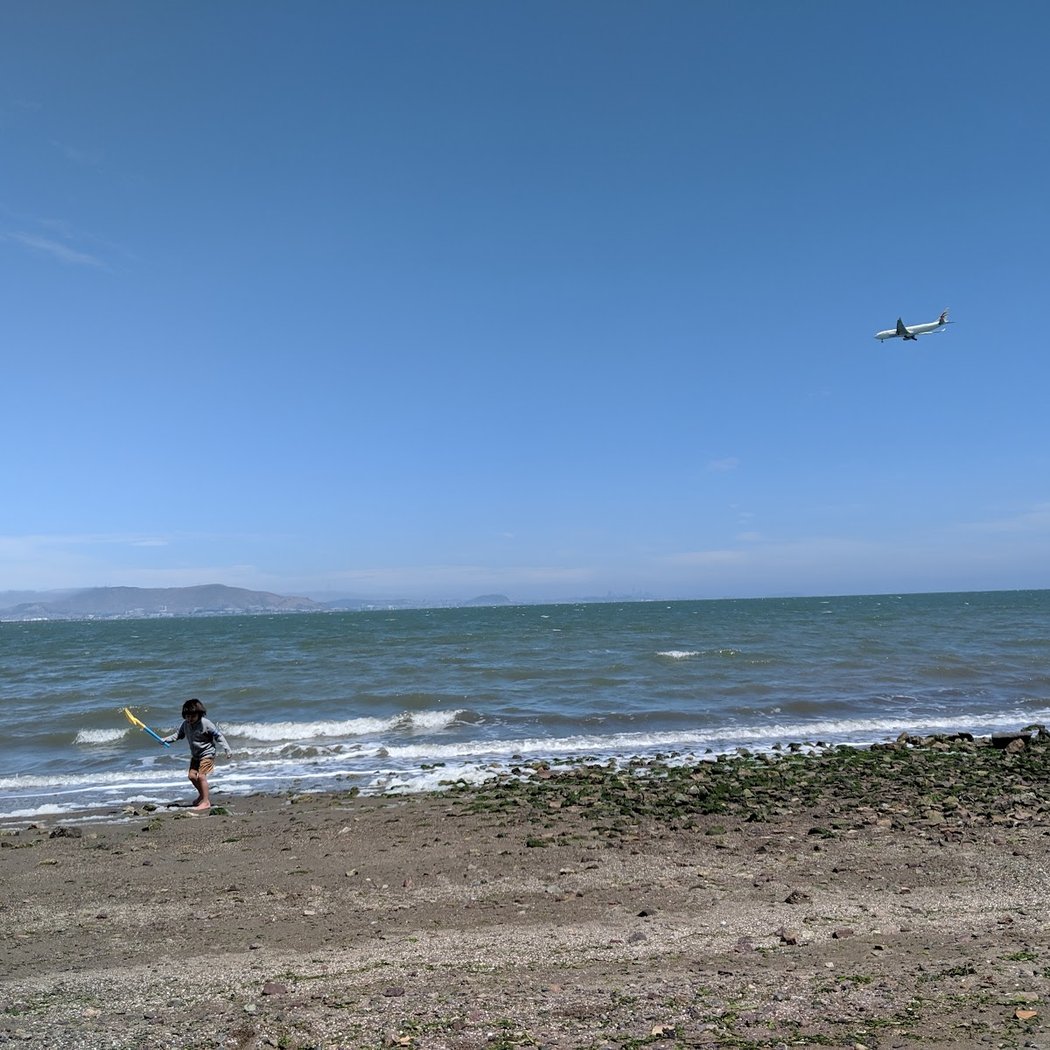 Coyote Point Beach 2