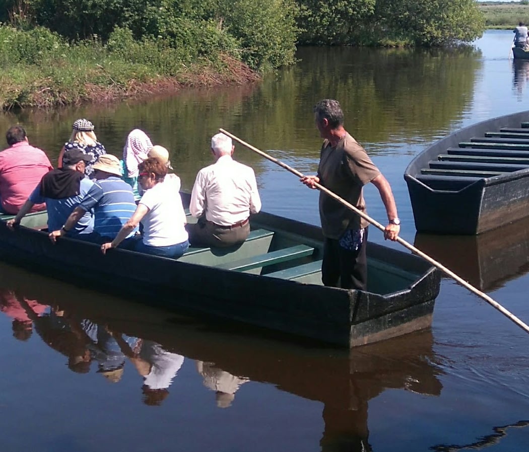 Faune Brièronne : Découverte de la brière en barque ou calèche 2