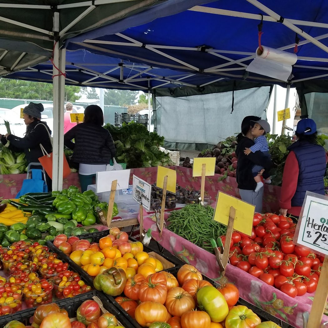 UC Master Gardener Education Table 1