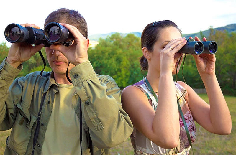 Beginning Birder Workshop 2